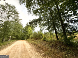 1 Lithonia Church Road Norwood, GA 30821 - Photo 42 of 48