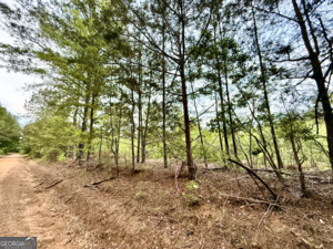 1 Lithonia Church Road Norwood, GA 30821 - Photo 43 of 48