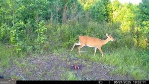 1 Lithonia Church Road Norwood, GA 30821 - Photo 45 of 48