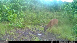 1 Lithonia Church Road Norwood, GA 30821 - Photo 46 of 48