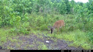 1 Lithonia Church Road Norwood, GA 30821 - Photo 47 of 48