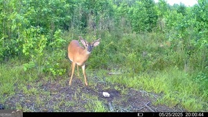 1 Lithonia Church Road Norwood, GA 30821 - Photo 48 of 48