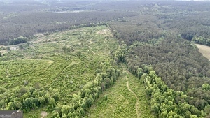 1 Lithonia Church Road Norwood, GA 30821 - Photo 7 of 48