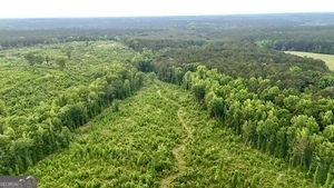 1 Lithonia Church Road Norwood, GA 30821 - Photo 8 of 48