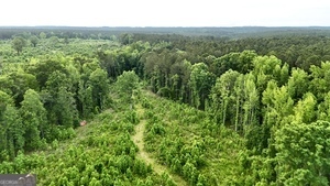 1 Lithonia Church Road Norwood, GA 30821 - Photo 9 of 48