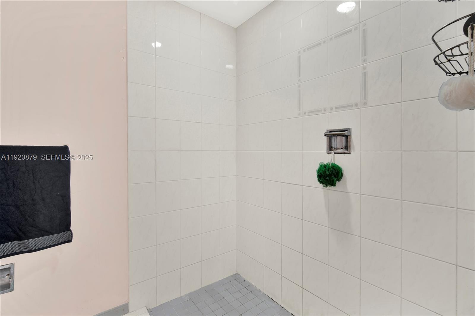 29472 Southwest 193rd Court Homestead, FL 33030 - Photo 34 of 44 a bathroom with a shower and mirror