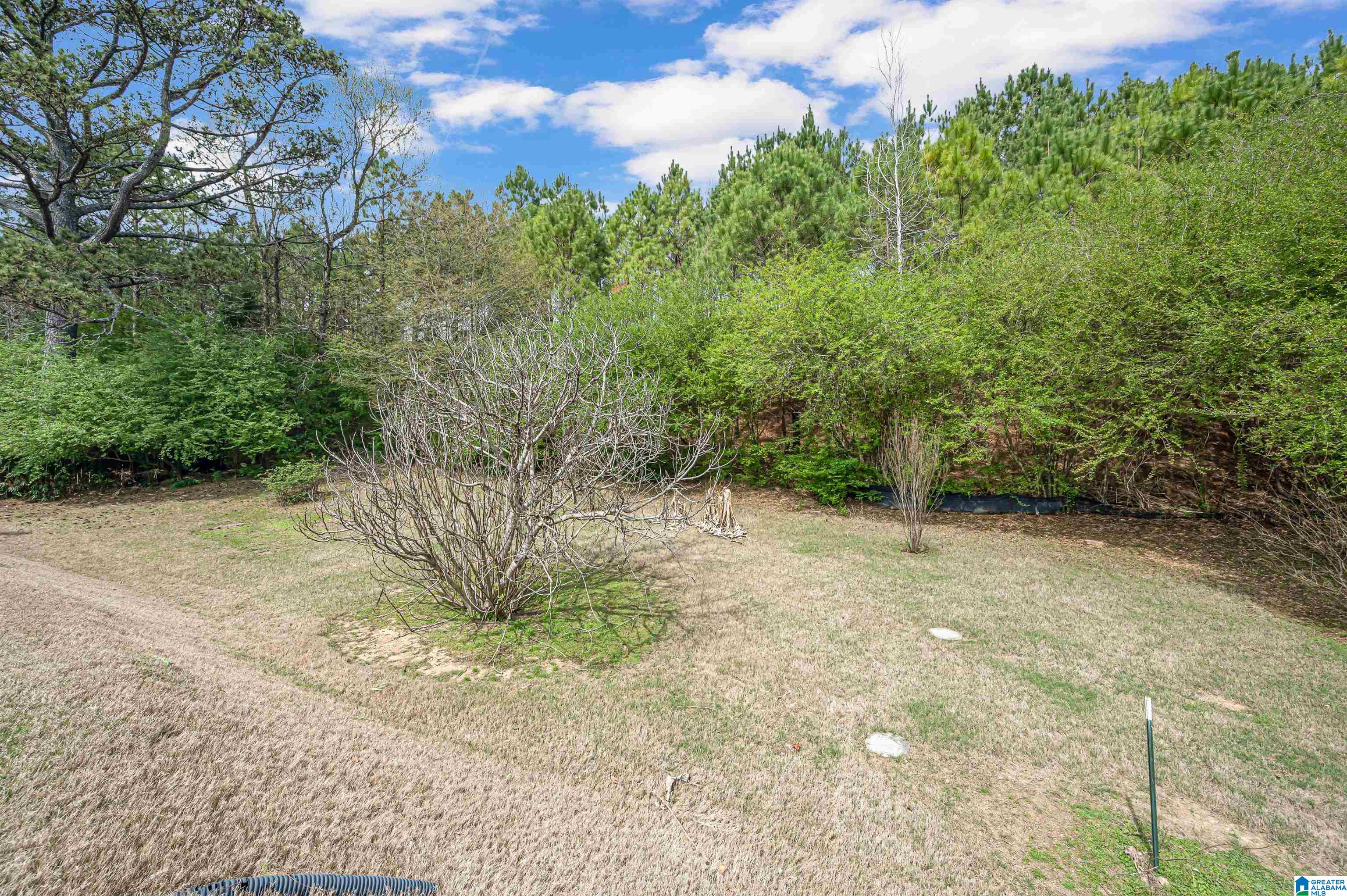 508 Chesser Circle Chelsea, AL 35043 - Photo 45 of 46