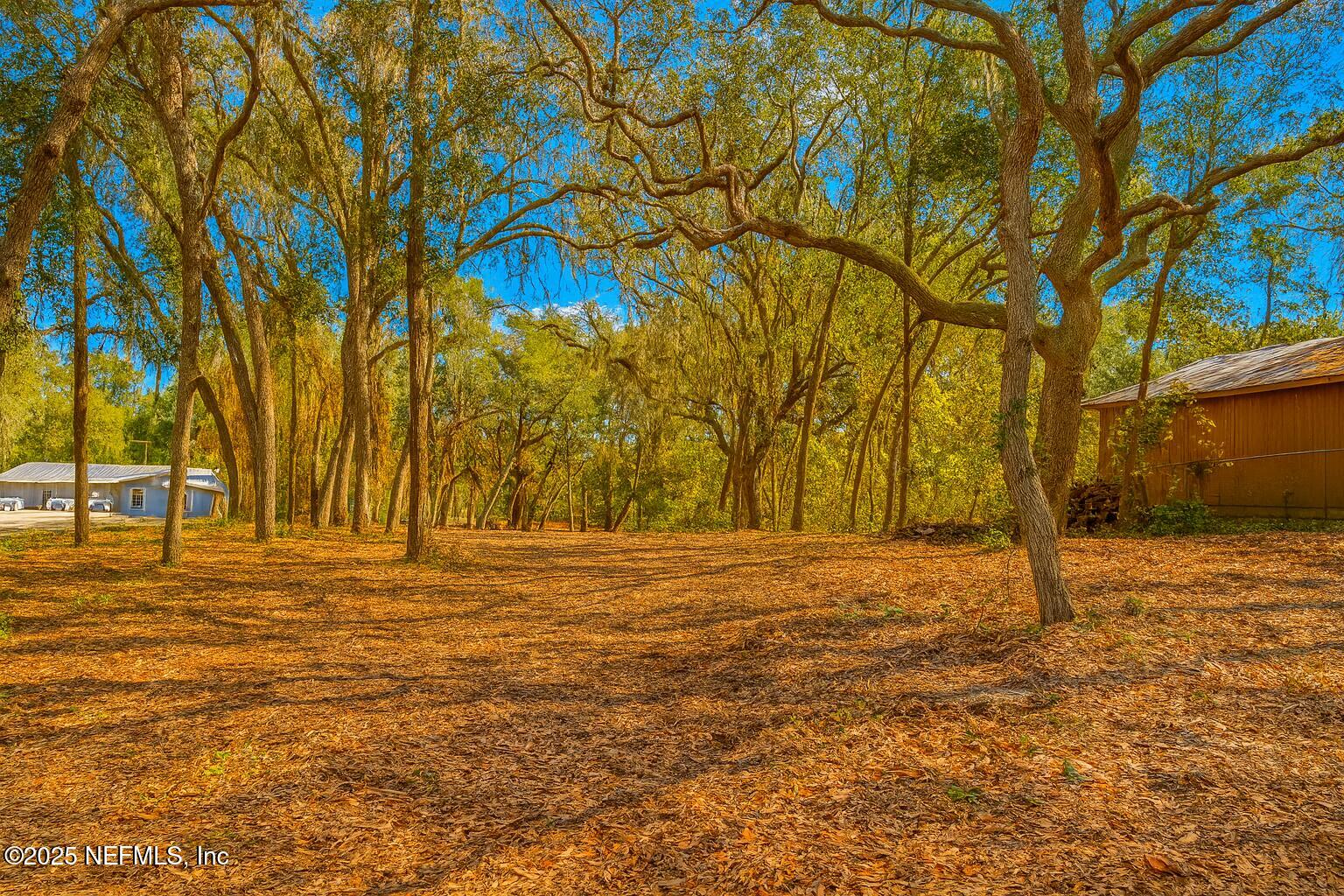 7043 Gatorbone Road Keystone Heights, FL 32656 - Photo 3 of 13 a view of big yard