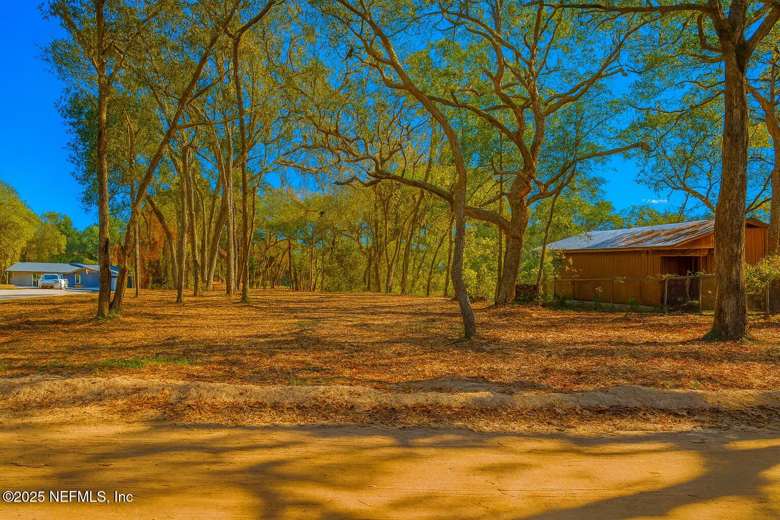 7043 Gatorbone Road Keystone Heights, FL 32656 - Photo 4 of 13 a house with trees in front of it
