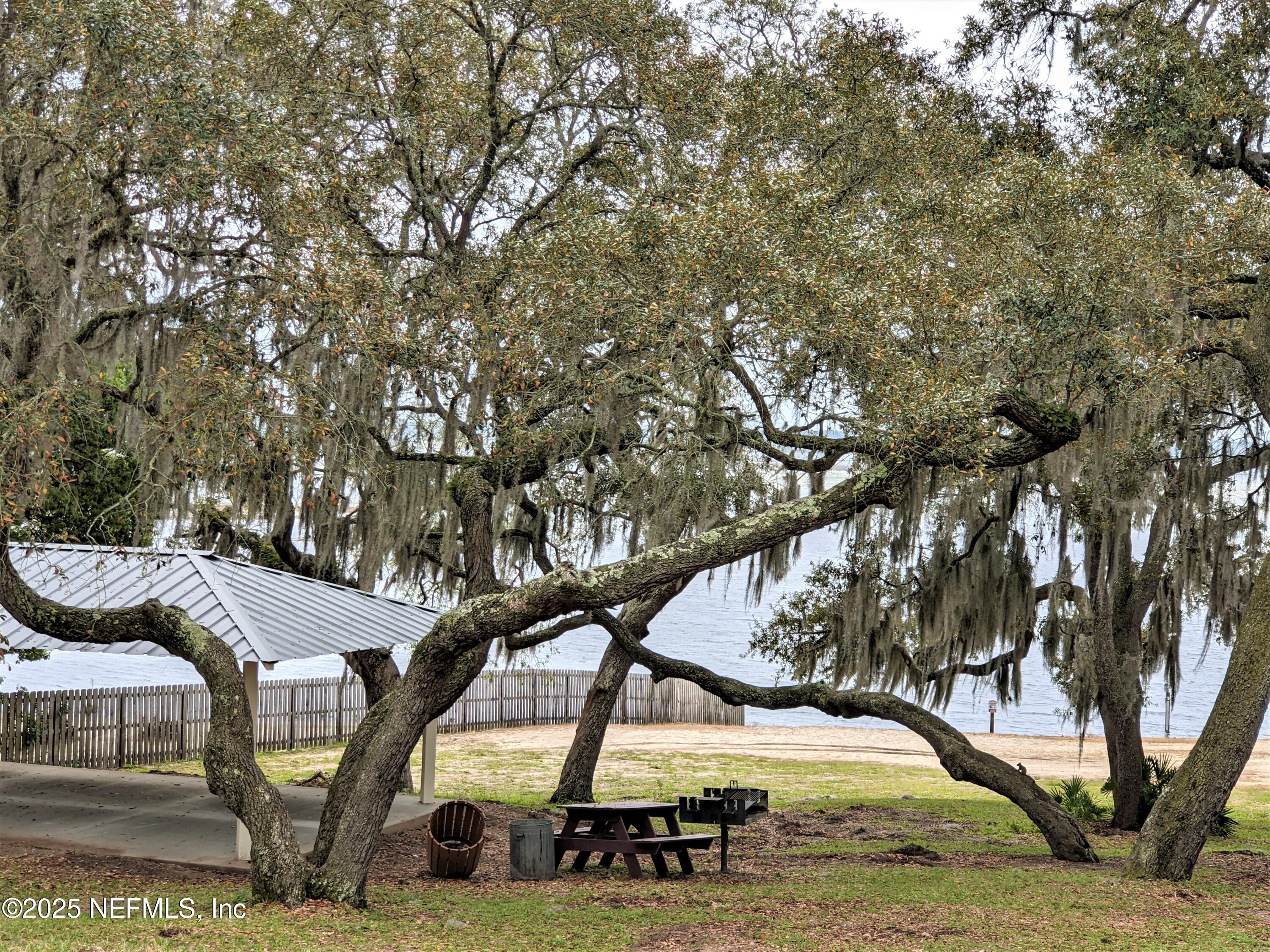 7043 Gatorbone Road Keystone Heights, FL 32656 - Photo 5 of 13 a view of outdoor space and yard