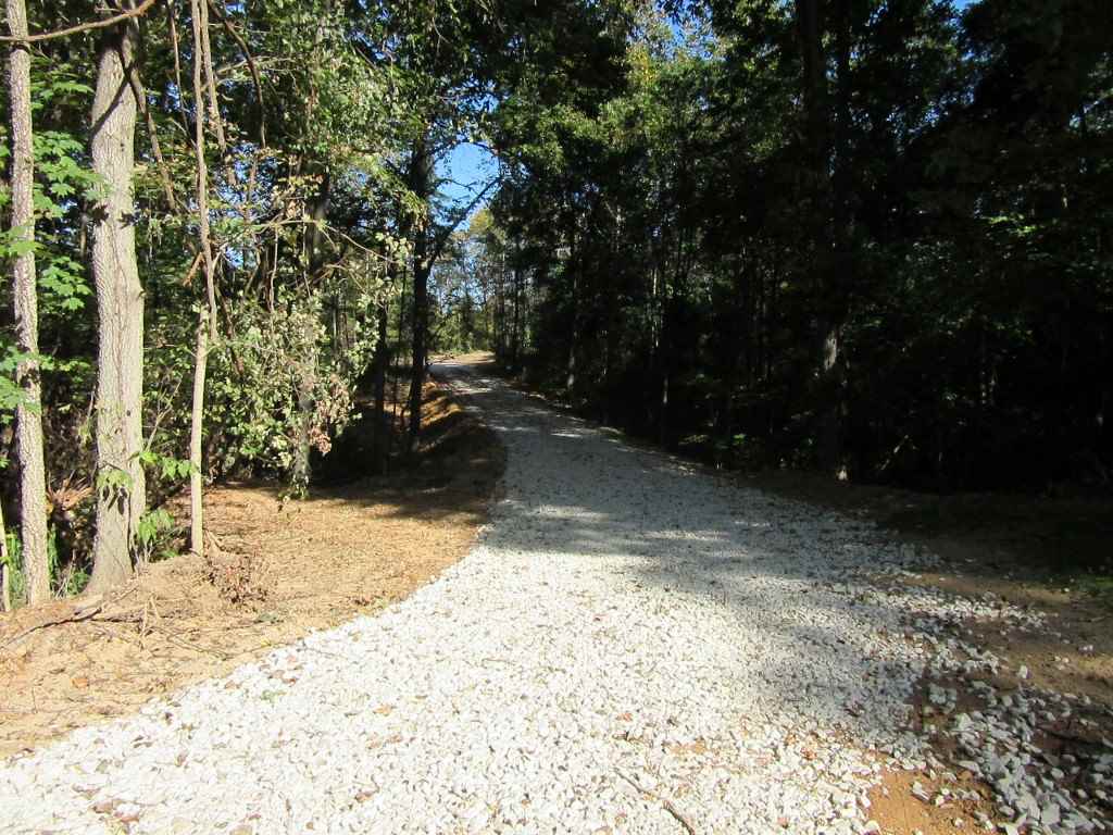 1889 Blue Springs Cavern Road Bedford, IN 47421 - Photo 19 of 26