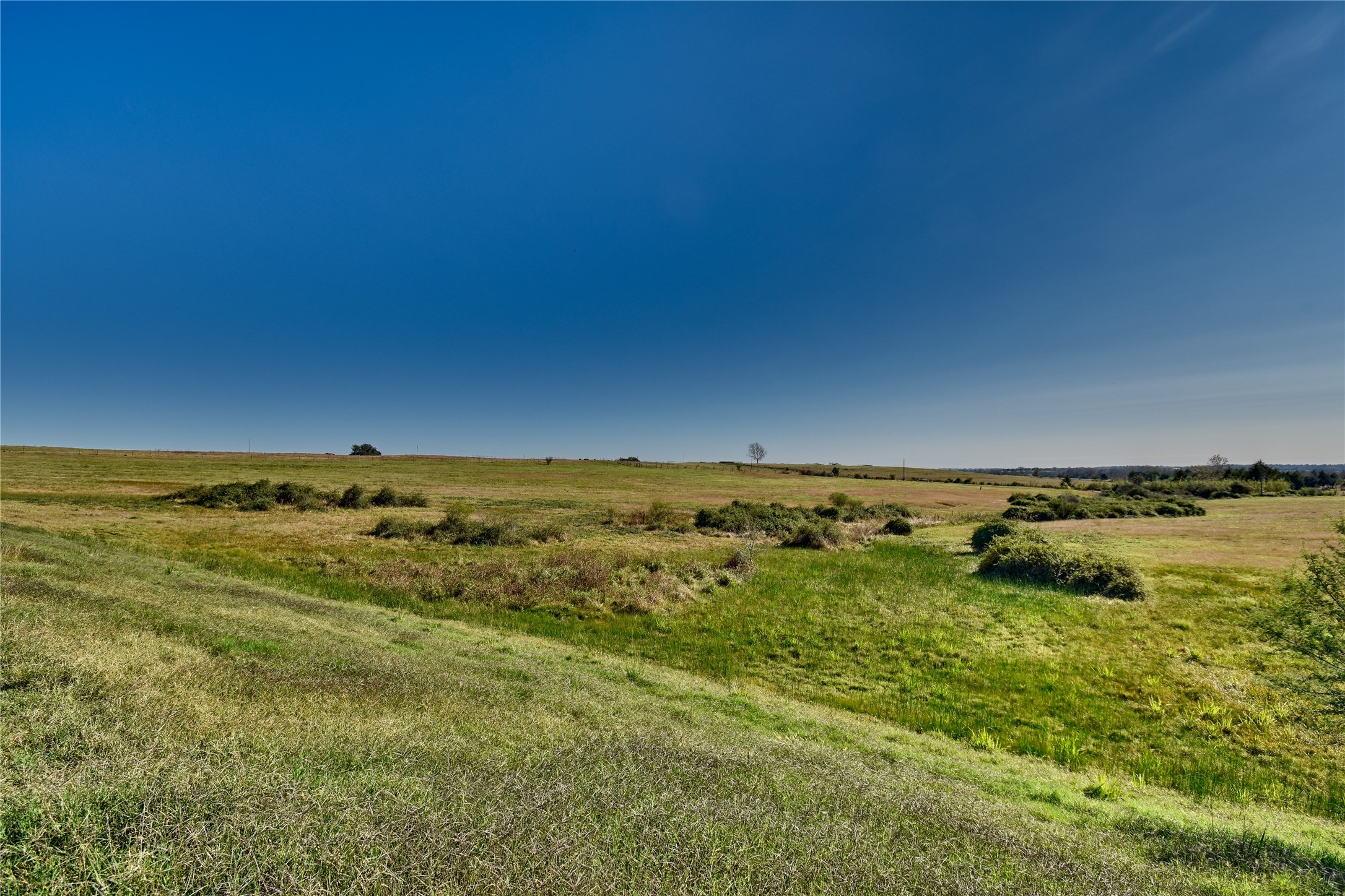 7 Pacen Place Chappell Hill, TX 77426 - Photo 2 of 8 a view of an ocean