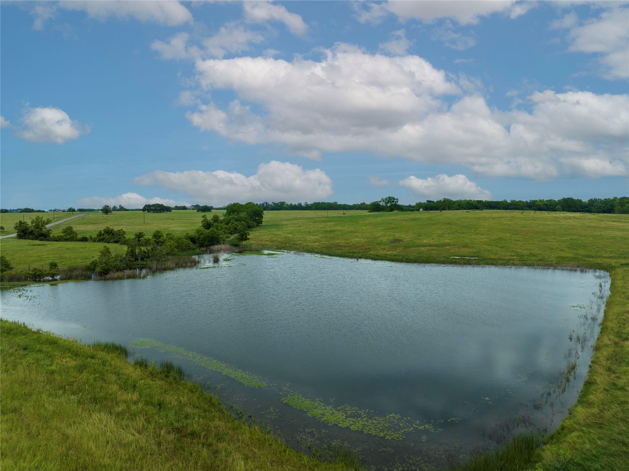 7 Pacen Place Chappell Hill, TX 77426 - Photo 5 of 8 a view of a lake with a city