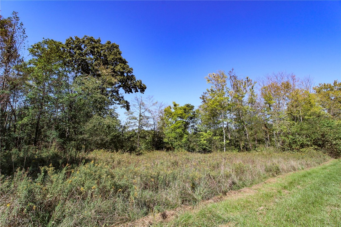 Lot 3 Moss Run Road Marietta, OH 45750 - Photo 7 of 14 View of woods