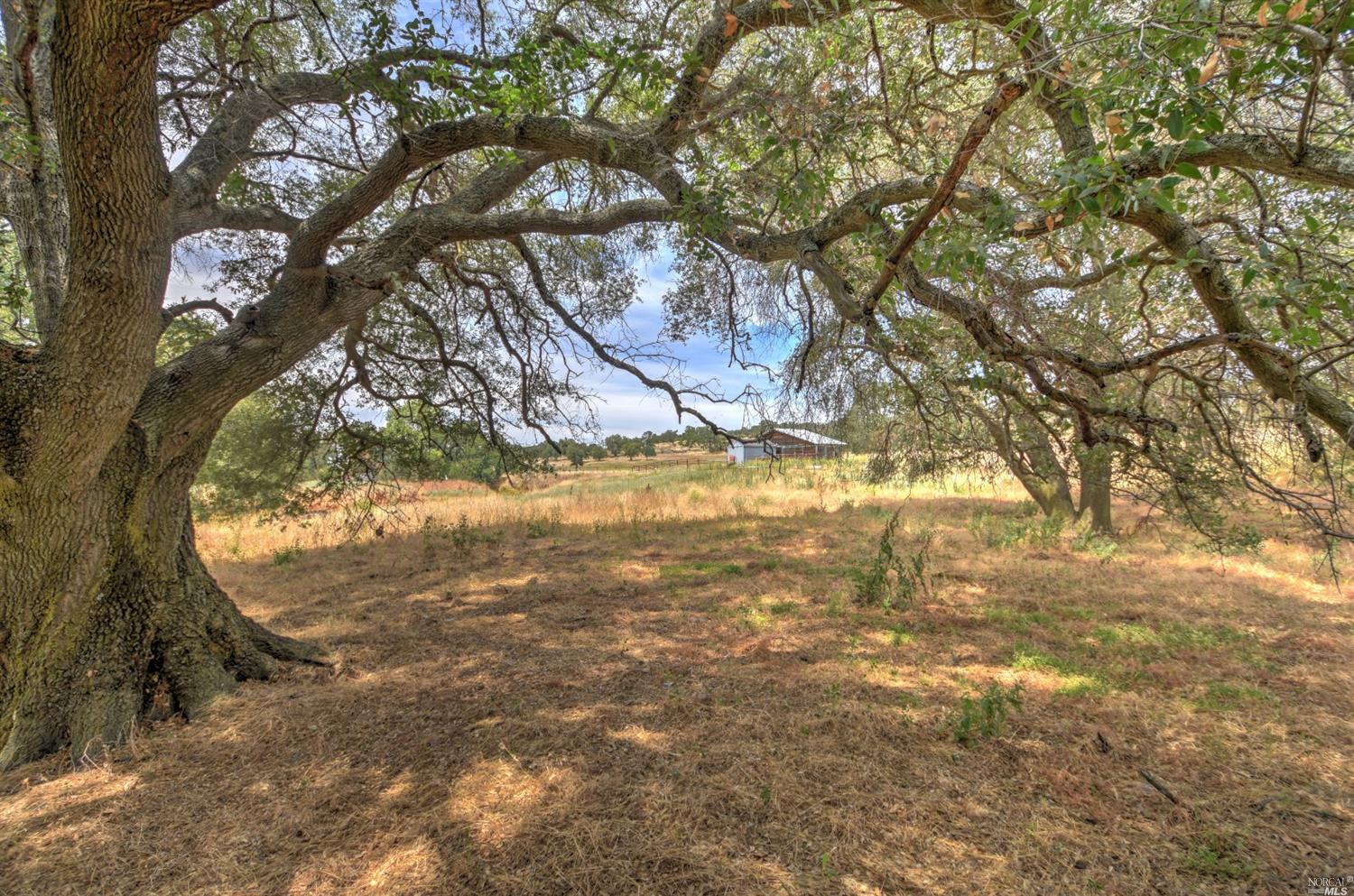 9642 Warren Road Valley Springs, CA 95252 - Photo 2 of 7