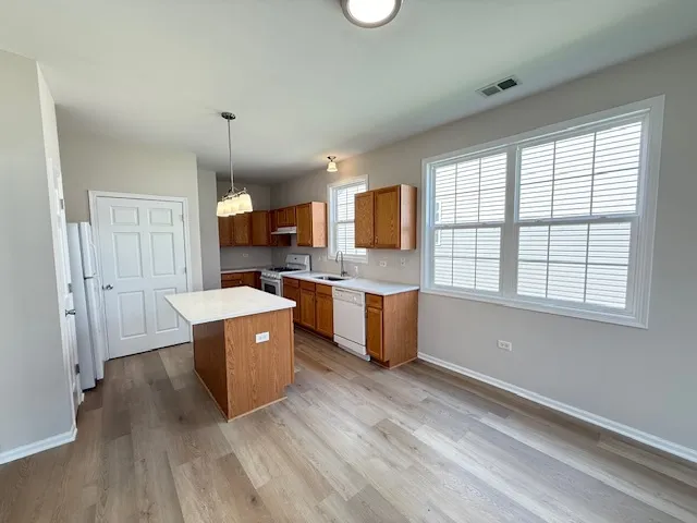 $354,900 | 17113 Manitoba Street, Lockport, IL 60441