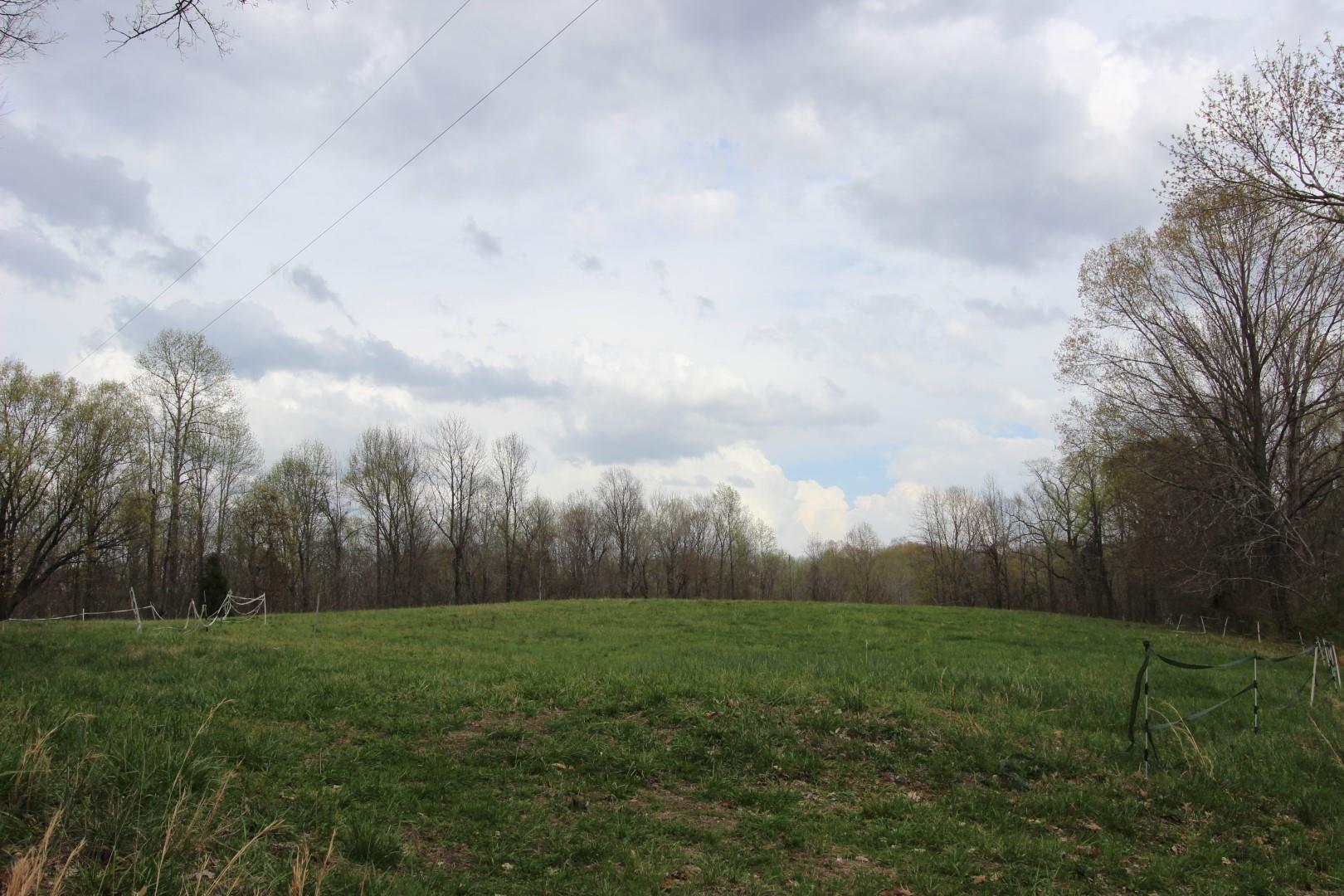 74 Commissary Ridge Road Indian Mound, TN 37079 - Photo 3 of 12 Gallery Image 3
