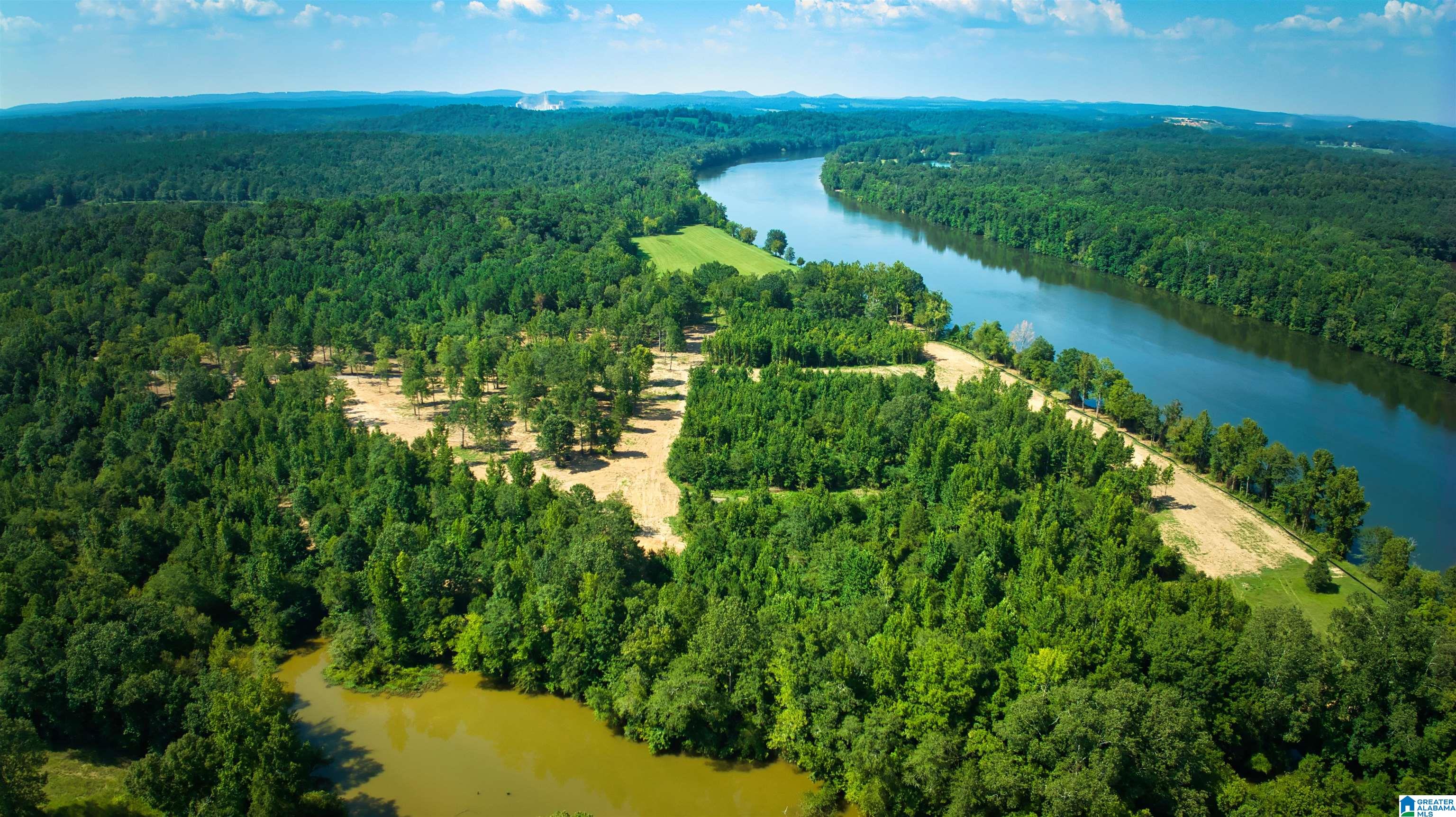 Lot 20 Wester Road, Unit LOT 20 Ragland, AL 35131 - Photo 17 of 68
