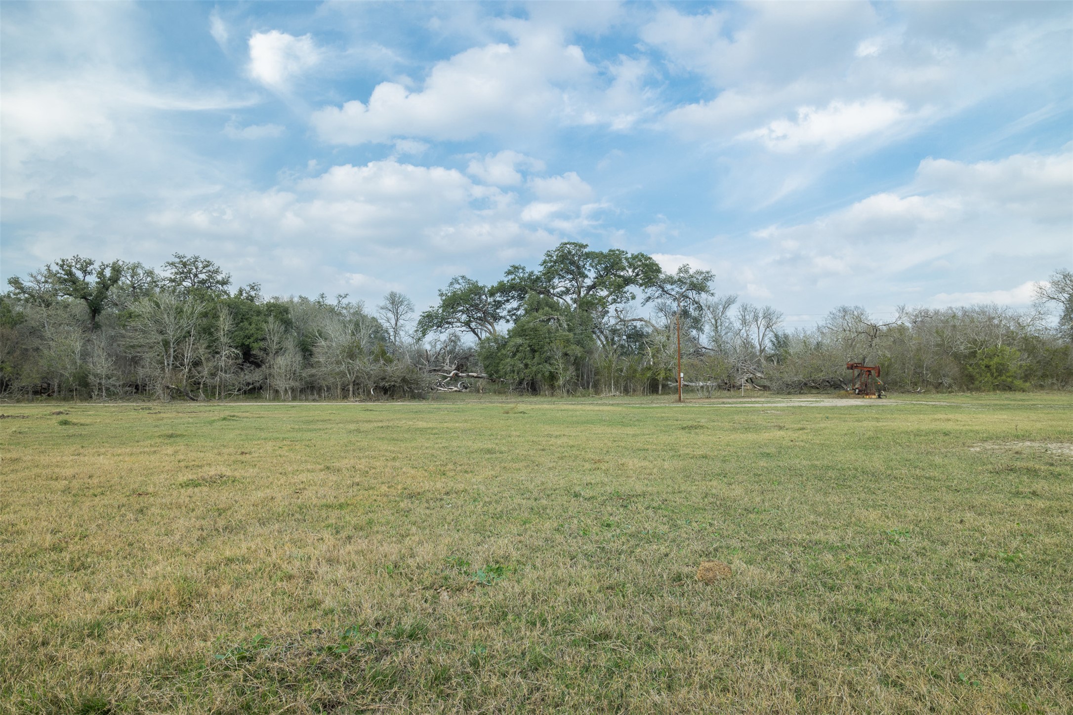 1144 Treetop Lane Luling, TX 78648 - Photo 13 of 31 View of green lawn with a view of rural / pastoral area