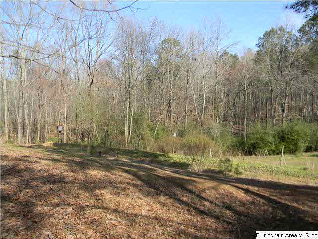 3901 Dodd Road Birmingham, AL 35244 - Photo 16 of 18