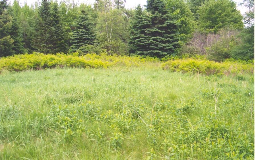 Lot 3-1 Mill River Road Harrington, ME 04643 - Photo 2 of 5 Photo