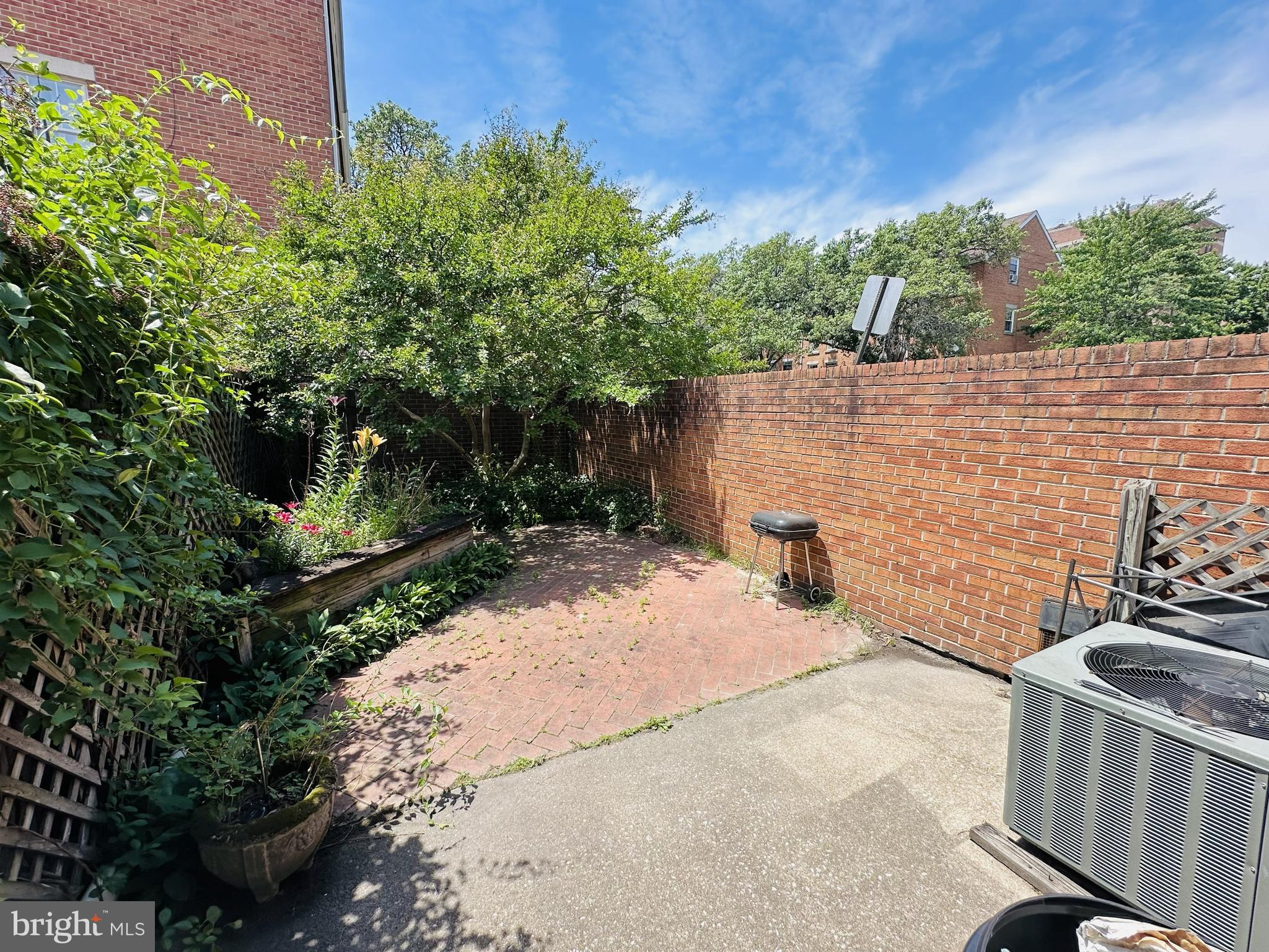 28 North Wolfe Street Baltimore, MD 21231 - Photo 5 of 25 a view of a garden