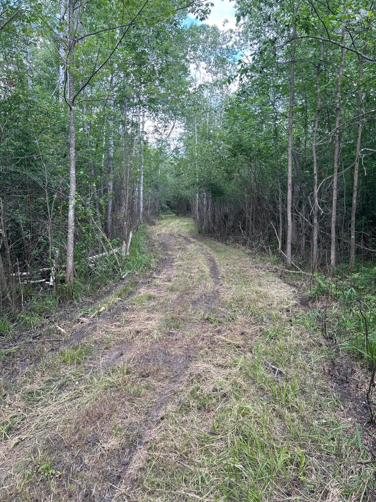 Salina Road Lachine, MI 49753 - Photo 25 of 26 Gallery Image 25