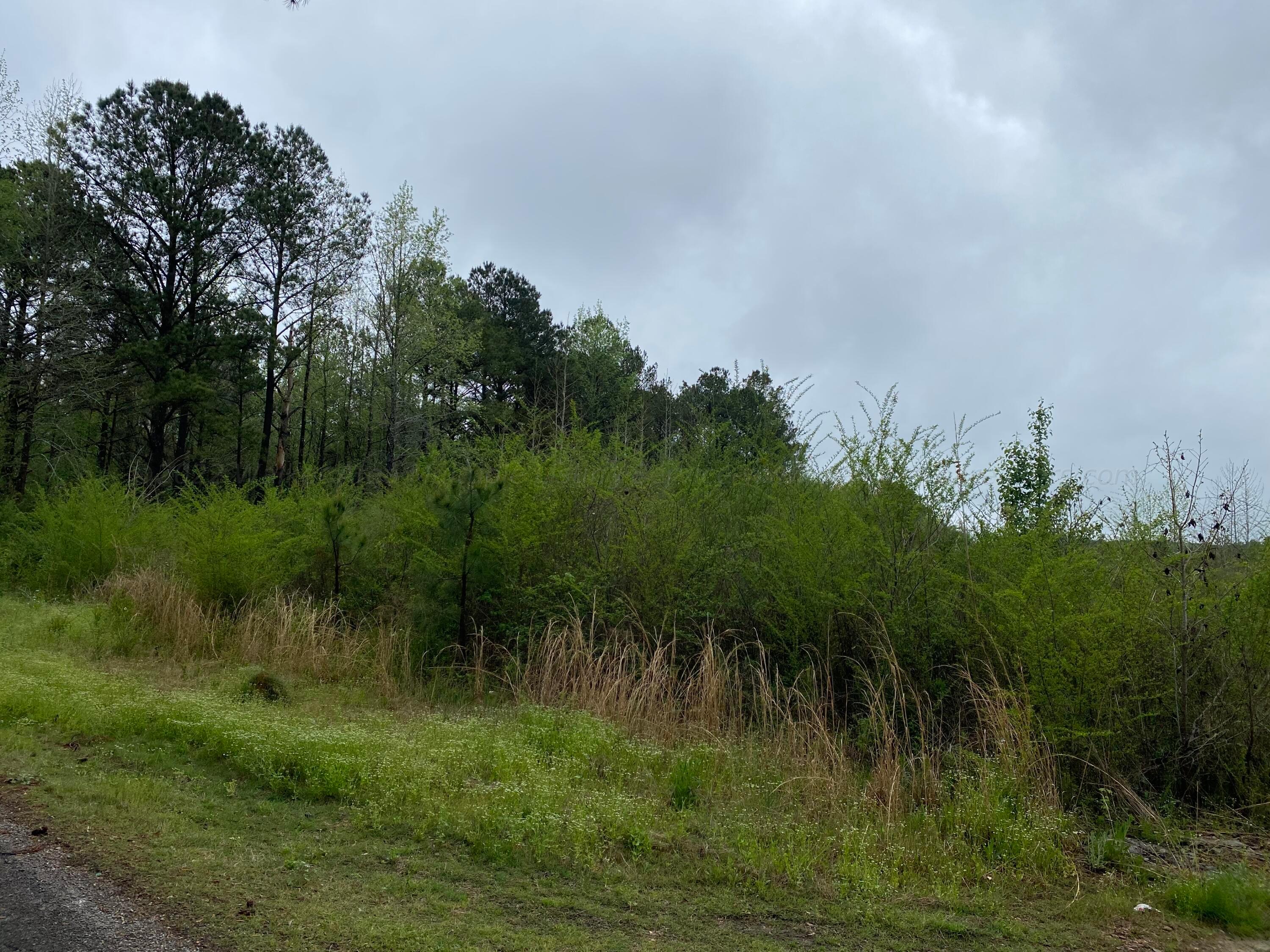 11 11 Foot Road Carbon Hill, AL 35549 - Photo 3 of 9 Gallery Image 3