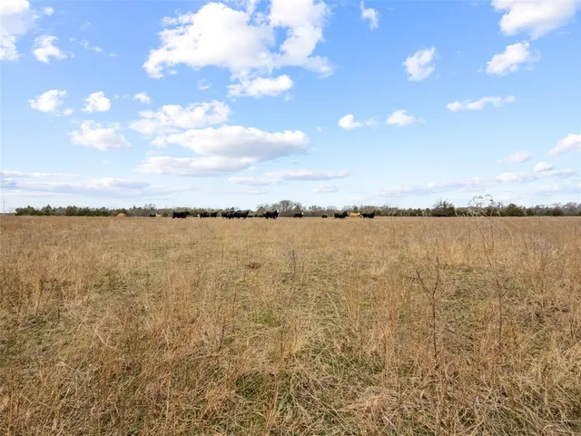 a view of a lake from a yard