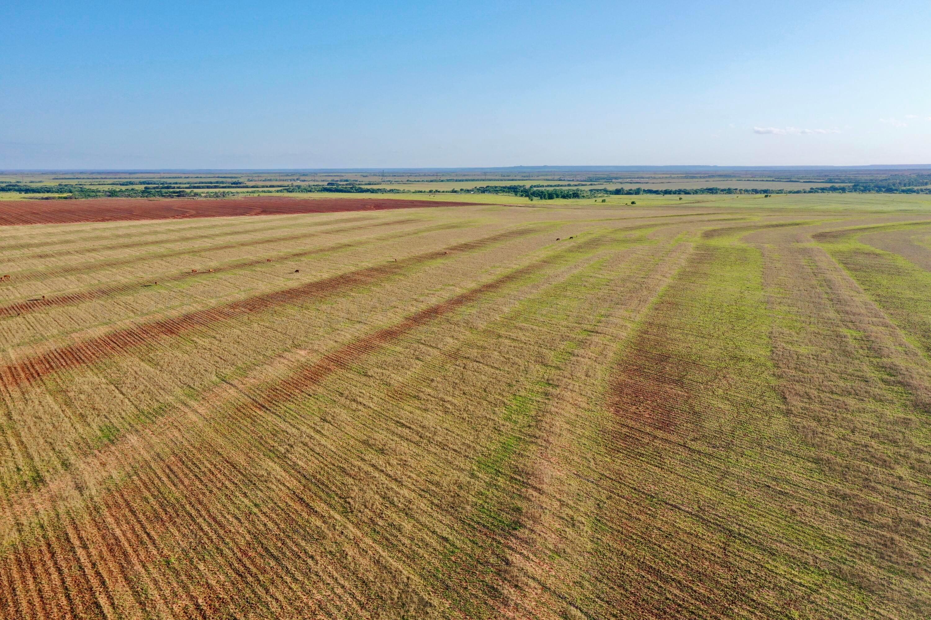 656 Fm Turkey, TX 79261 - Photo 15 of 45 DJI_0825