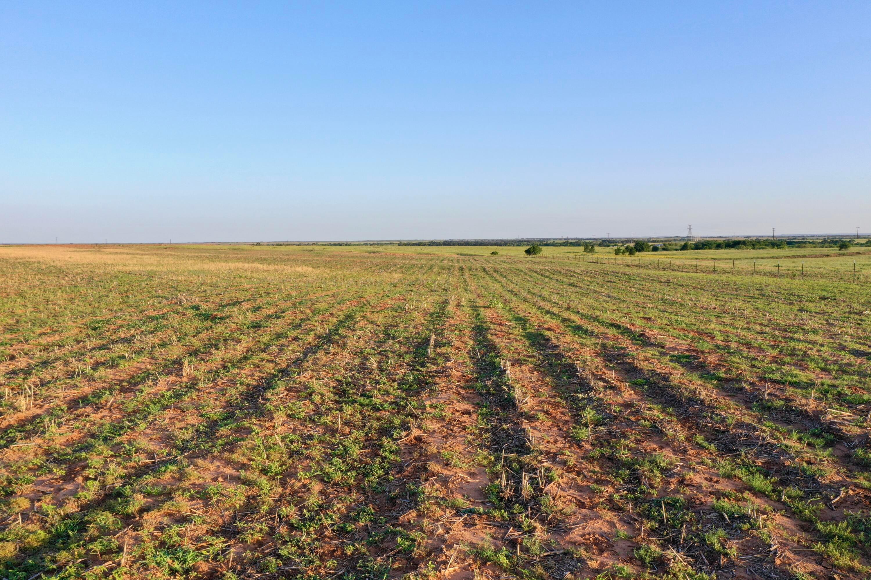 656 Fm Turkey, TX 79261 - Photo 19 of 45 DJI_0851