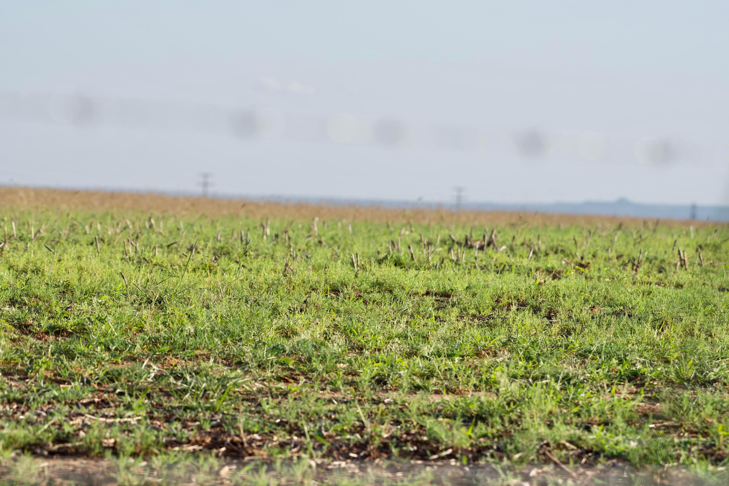 656 Fm Turkey, TX 79261 - Photo 20 of 45 DSC_3530