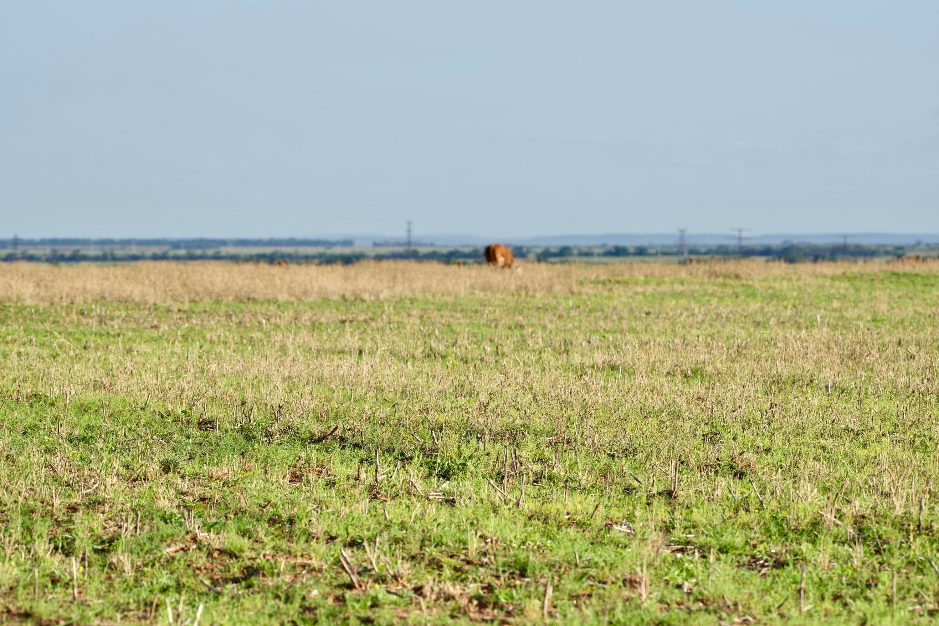 656 Fm Turkey, TX 79261 - Photo 30 of 45 DSC_3527