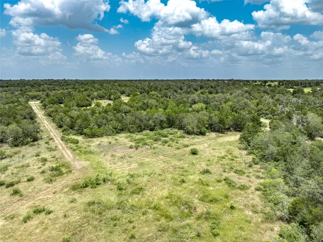 a view of a city with lush green forest