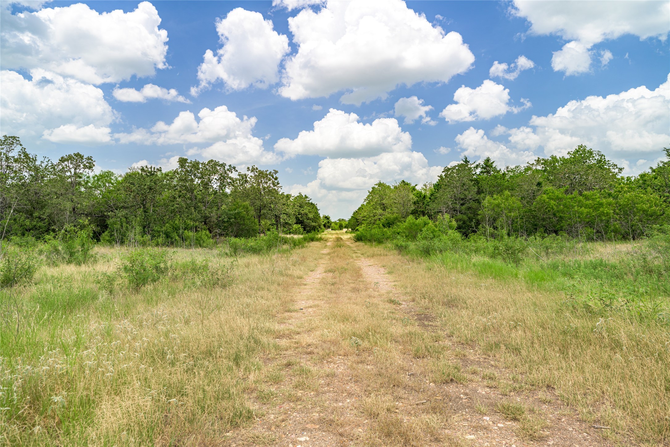 5850 Brown Road Flatonia, TX 78941 - Photo 4 of 12 a view of a lake