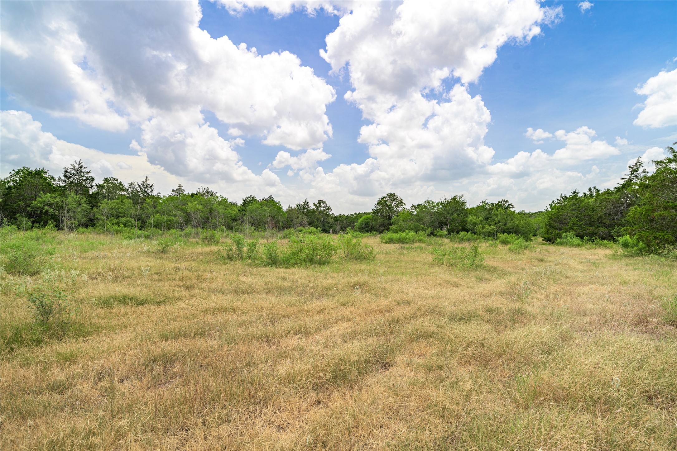 5850 Brown Road Flatonia, TX 78941 - Photo 5 of 12 a view of a lake from a yard