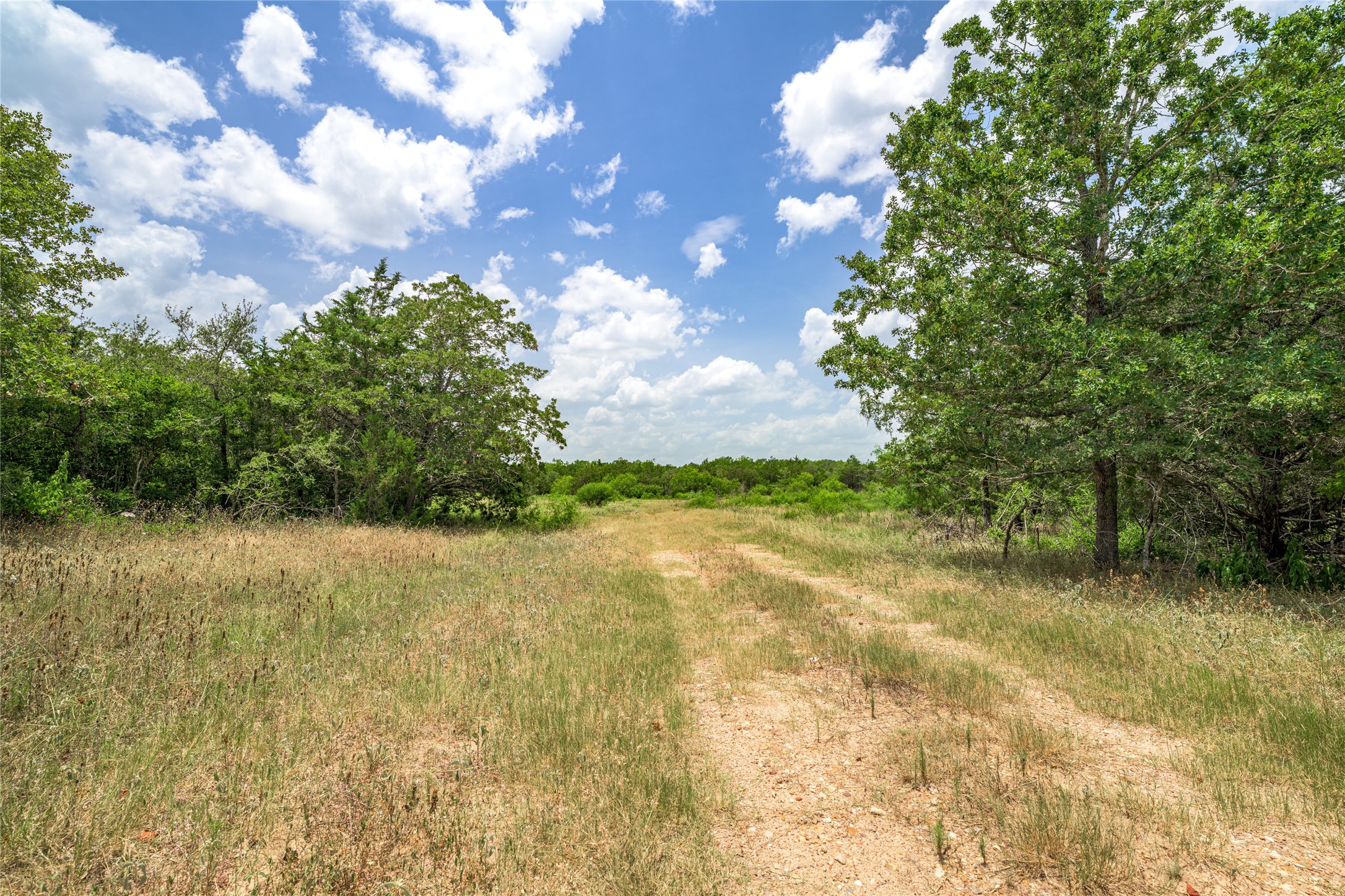 5850 Brown Road Flatonia, TX 78941 - Photo 7 of 12 a view of lake view and mountain view