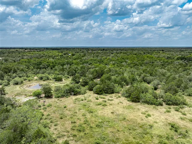 a view of a bunch of trees and houses