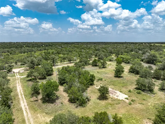 a view of a yard with an trees