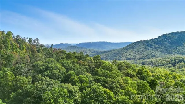a view of a lush green field with a tree in the background