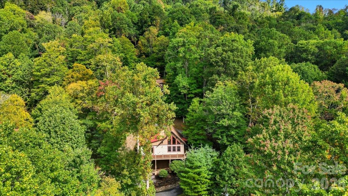 13 Miners Trace Road Burnsville, NC 28714 - Photo 4 of 34 a view of a house with a tree
