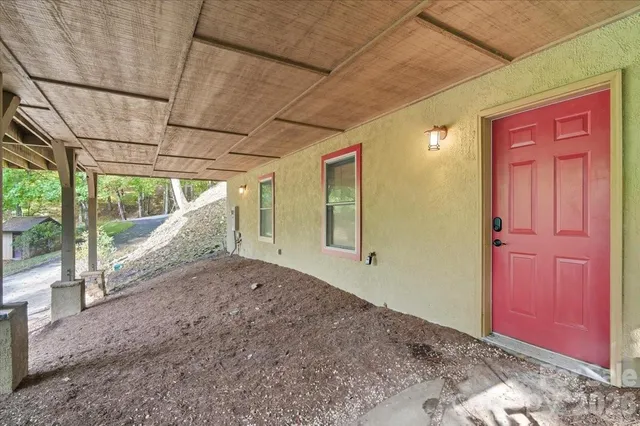 a view of backyard and window