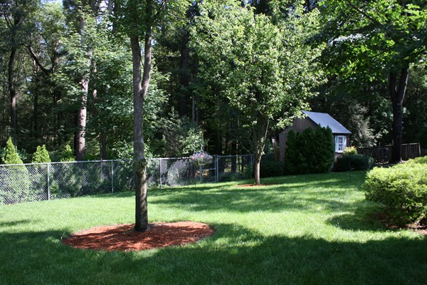 24 Eisenhower Road Framingham, MA 01701 - Photo 4 of 20