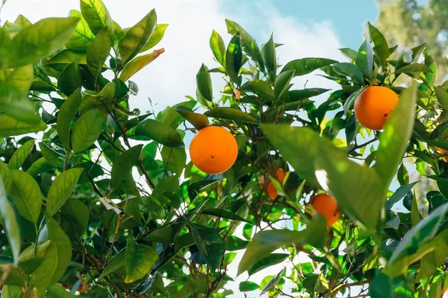 $190,000 | 56 Feathervale Drive, Oroville, CA 95966