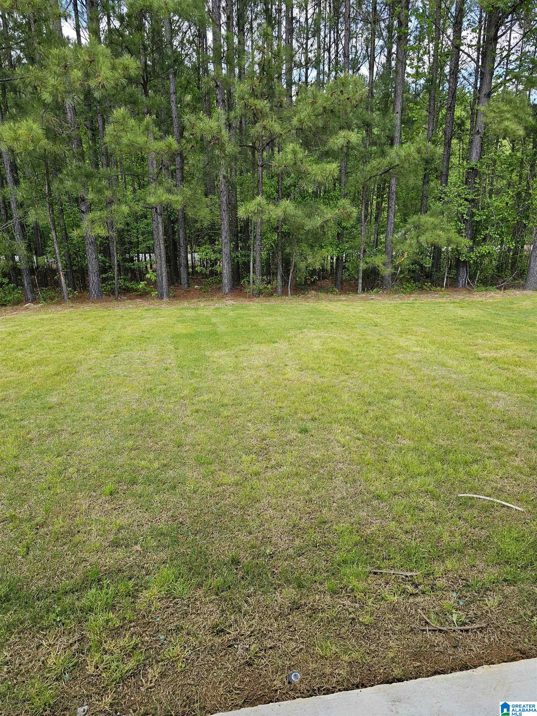 2123 Springfield Drive Chelsea, AL 35043 - Photo 26 of 28