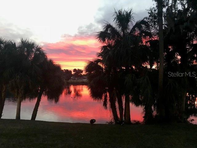 3614 Nixon Road Holiday, FL 34691 - Photo 16 of 16 Gallery Image 16