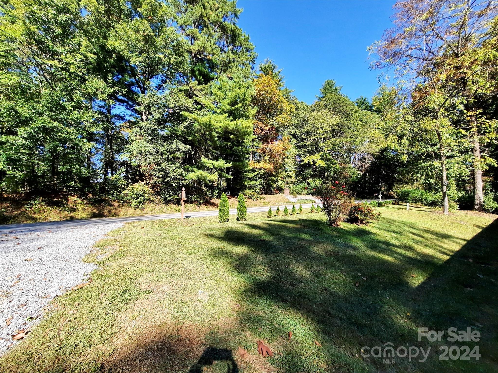 252 Souther Road Fletcher, NC 28732 - Photo 14 of 29 a view of yard with tree