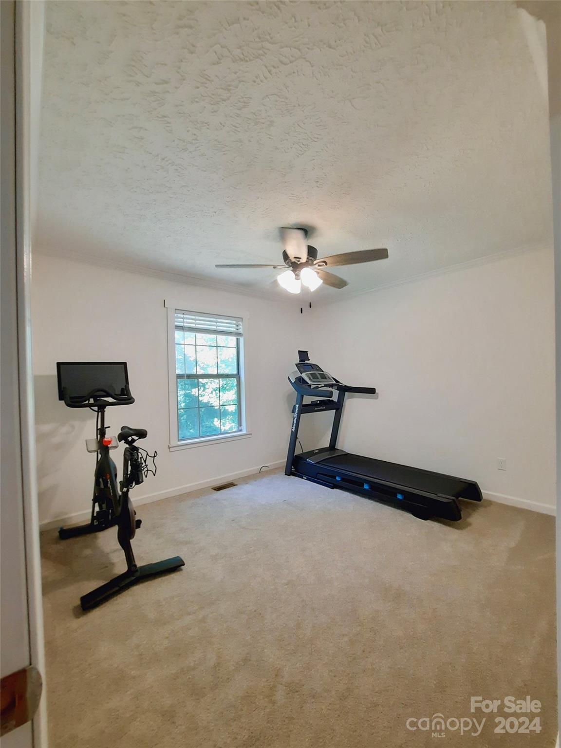 252 Souther Road Fletcher, NC 28732 - Photo 25 of 29 a view of a room with gym equipment and a window