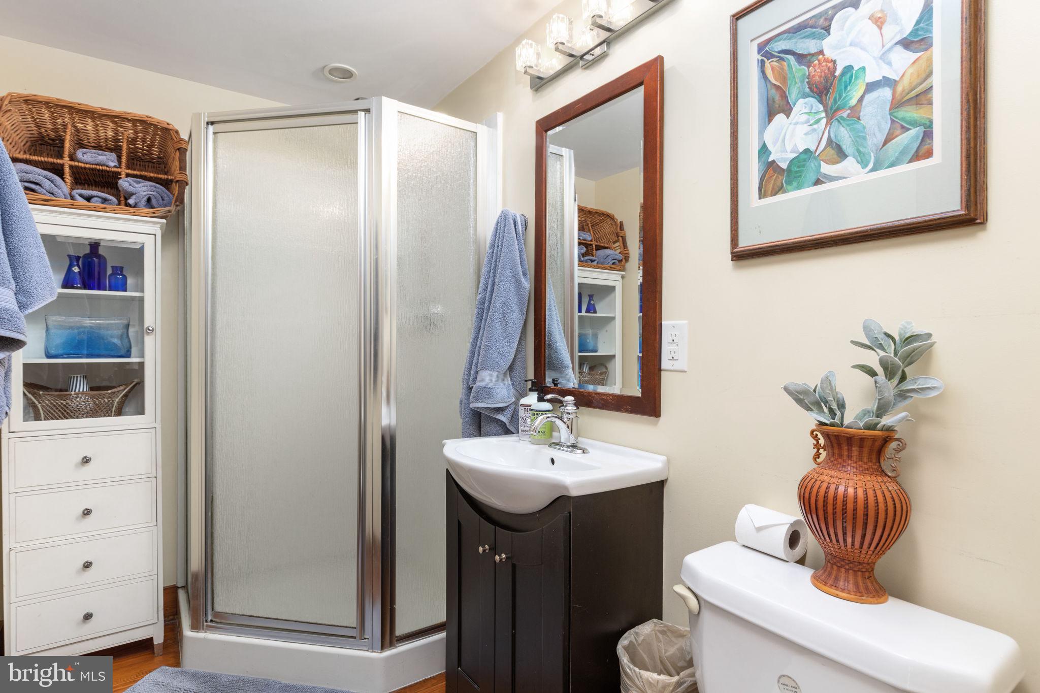19079 Blue Ridge Mountain Road Bluemont, VA 20135 - Photo 22 of 35 COTTAGE BATH