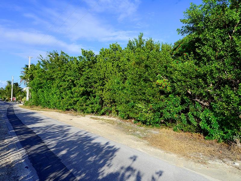 Lot 19 Indies Road Summerland Key, FL 33042 - Photo 5 of 6 Street level